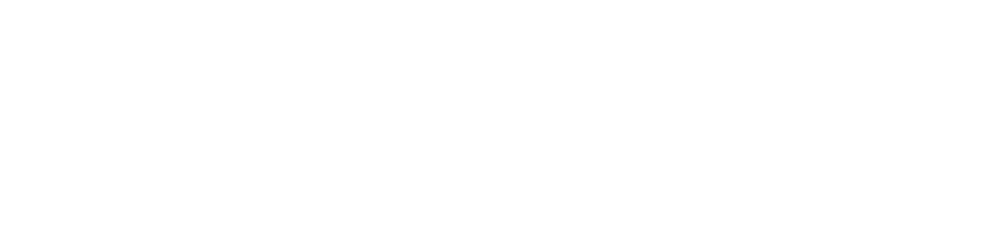bumbershute logo