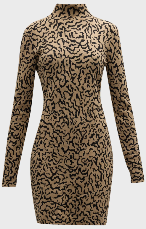 Frame Jacquard Sweater Dress